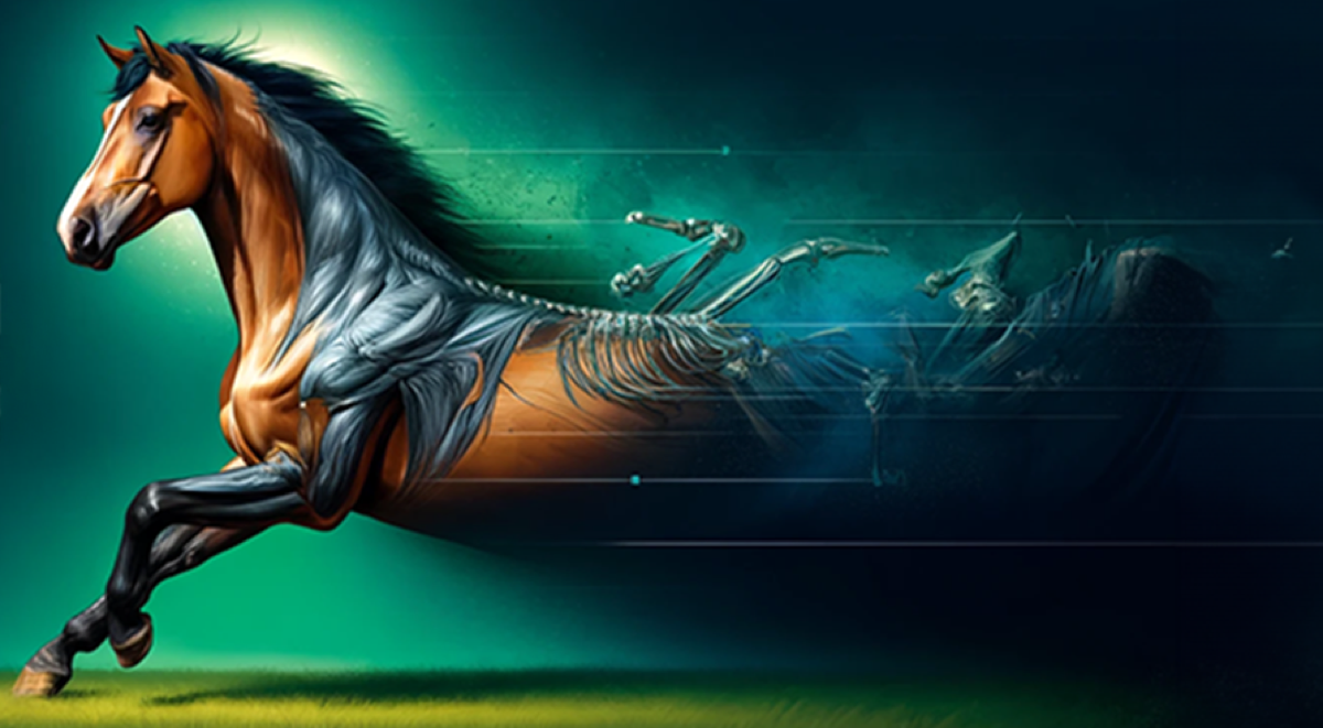 Horse in perfect anatomical alignment