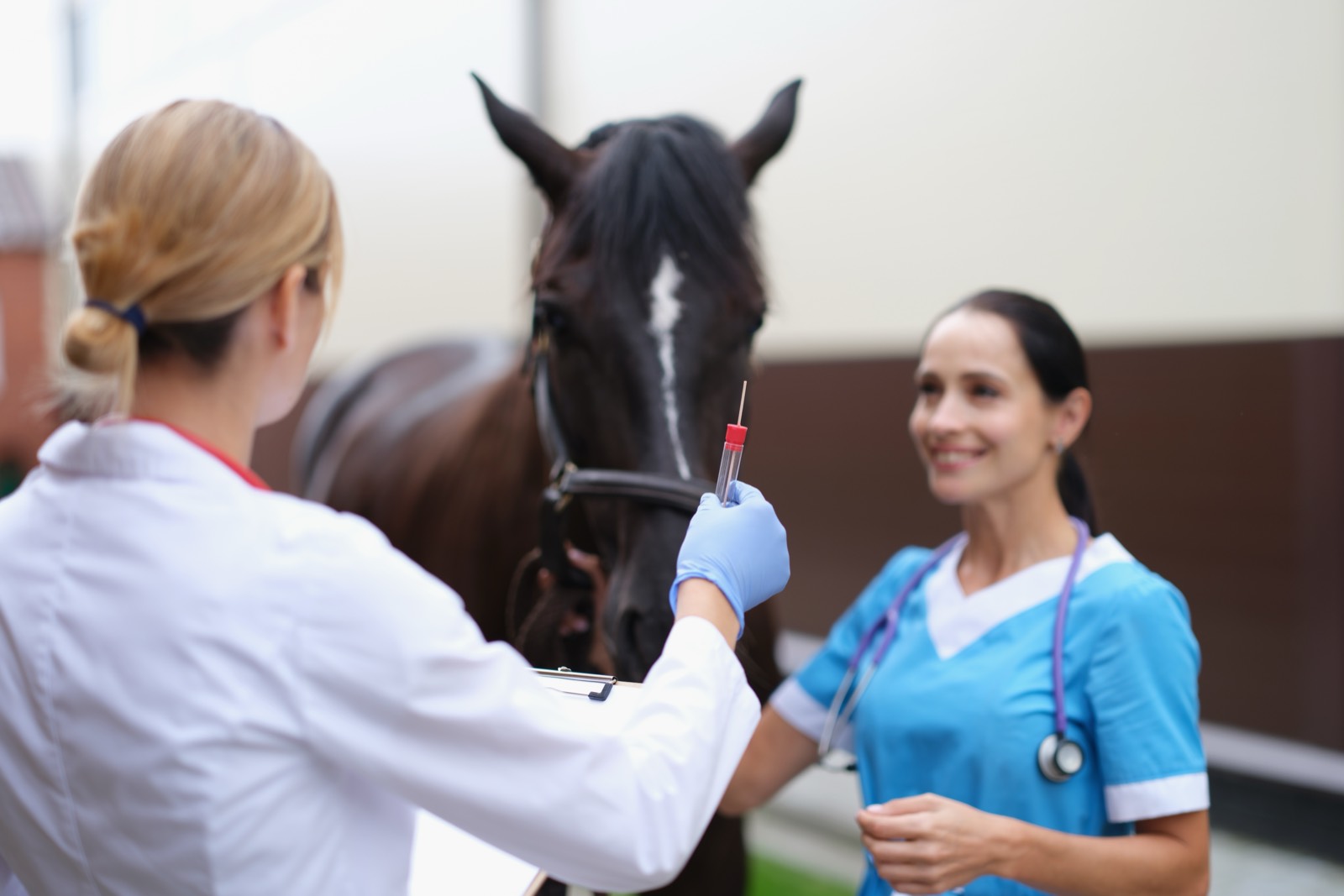 Liphook Equine Hospital