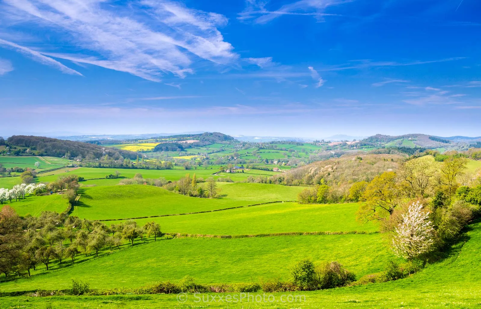Herefordshire Countryside